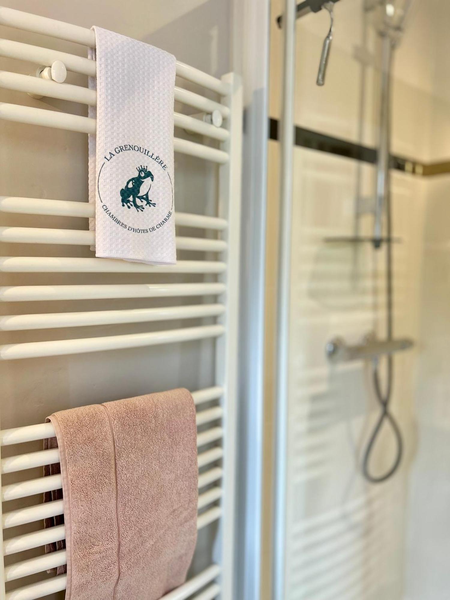 La Grenouillere - Chambre D'Hotes De Charme Ballan-Miré 外观 照片